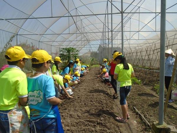 Nông trang xanh - Mô hình sinh thái kết hợp trải nghiệm sản xuất nông nghiệp sạch