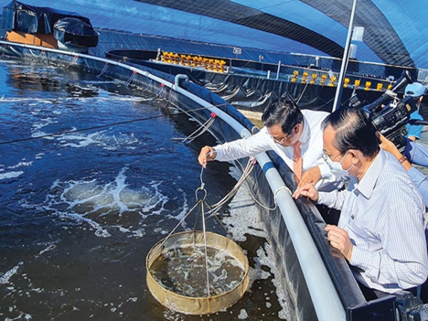 Đón đầu công nghệ, dẫn lối thành công