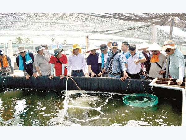 Thủy sản xanh giảm khai thác, tăng nuôi trồng