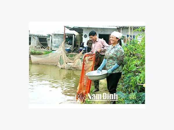 Nam Định phát huy hiệu quả mô hình tổ phụ nữ liên kết nuôi trồng thủy hải sản