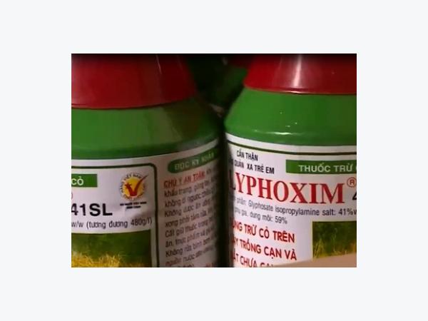 Thuốc diệt cỏ chứa Glyphosate thế giới cấm, Việt Nam vẫn bán chạy