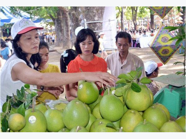 Nông dân “biến” nông nghiệp thành du lịch ruộng đồng