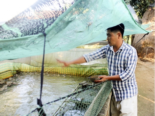 Bí quyết làm giàu: Biến vườn nhà thành trang trại