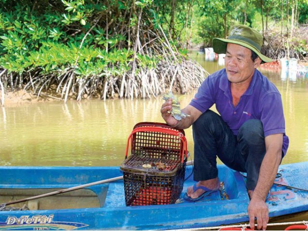 Hướng đi mới từ mô hình nuôi tôm tít lồng