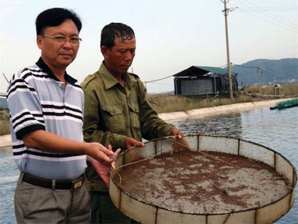 Bí quyết thu lãi hàng chục tỷ mỗi năm