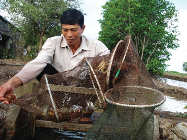 Thủy sản hữu cơ - Xu hướng của thế kỷ 21