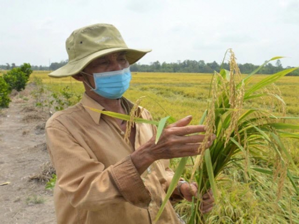 Chuyển đổi sản xuất, đa canh mới nhanh làm giàu