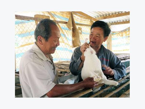 Cựu chiến binh nuôi thỏ thoát nghèo