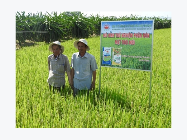 Thử nghiệm phân bón chuyên dùng cho lúa