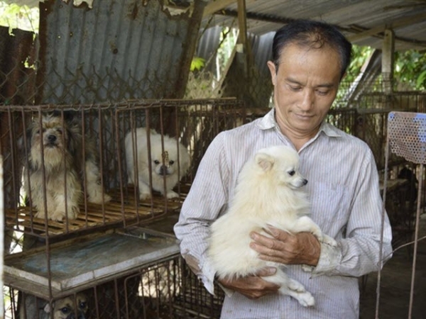 Nuôi chó kiểng, chồn hương thu nhập khá