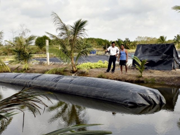 Ứng dụng biogas xử lý chất thải tôm nuôi siêu thâm canh