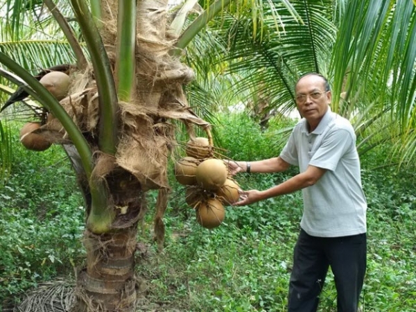 'Lão nông nghiệp dư' lập trang trại tổng hợp thu vài tỷ đồng/năm