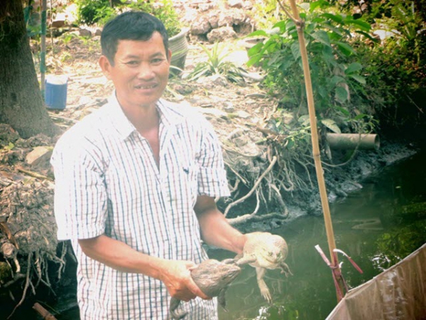 Làm giàu bằng mô hình nuôi dê, ếch, mỗi năm thu trên nửa tỷ đồng