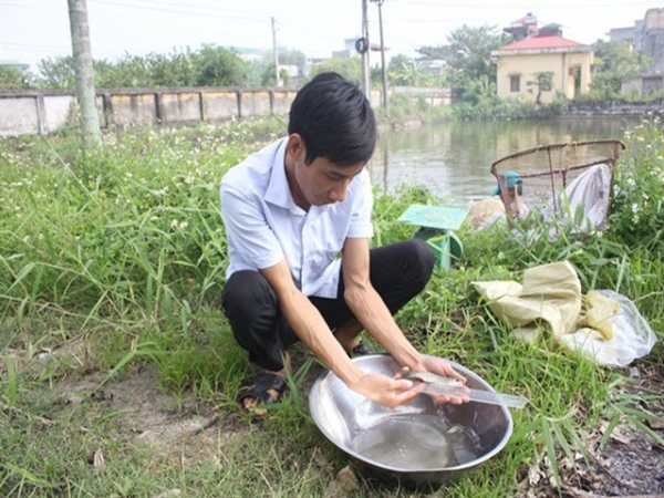 Ứng dụng tiến bộ kỹ thuật sản xuất giống cá trắm đen