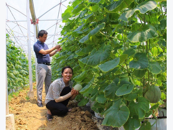 Nam Đàn đẩy nhanh xây dựng nông thôn mới kiểu mẫu