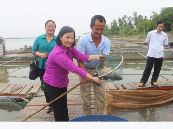 Thành tỷ phú nhờ nuôi cá trên sông, nuôi gà siêu trứng