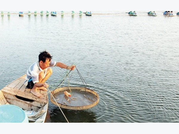 Mở đường tín dụng cho tôm