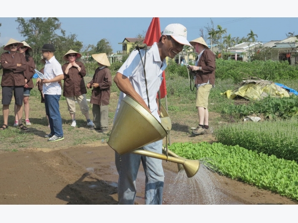 Hướng mở cho nông nghiệp đô thị