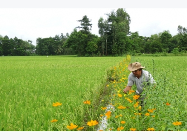 Công nghệ sinh thái lợi đôi đường