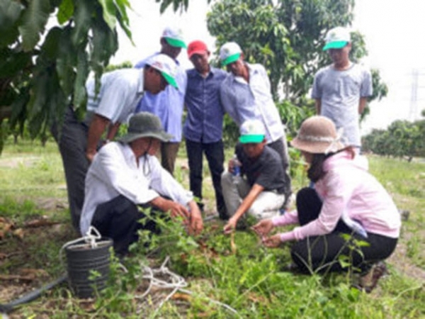 Mô hình canh tác nông nghiệp thông minh: Nâng cao năng suất cây trồng