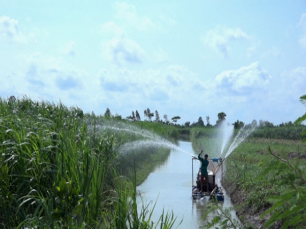 Mô hình trồng cỏ thông minh