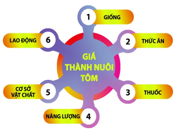 Một số biện pháp giảm giá thành nuôi tôm