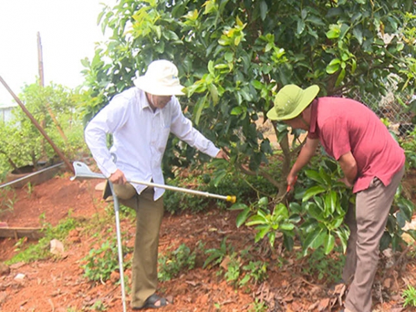 Thu tiền tỷ mỗi năm từ mô hình kinh tế tổng hợp