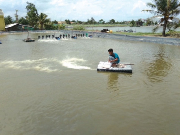 Những lưu ý sử dụng men vi sinh hiệu quả