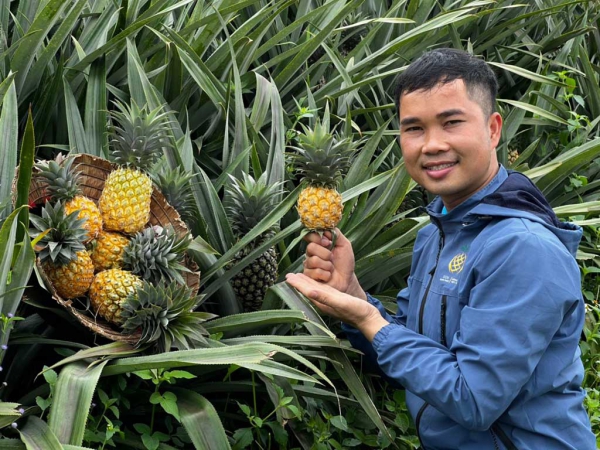 Biến lá dứa thành tơ xuất châu Âu, thu tiền tỉ