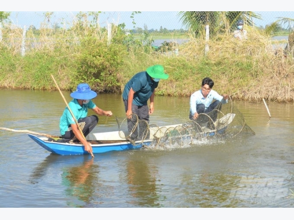 Nuôi trồng thủy sản tăng mạnh bất chấp thời tiết bất lợi