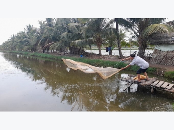 Trà Vinh tìm giải pháp phát triển mô hình nuôi tôm công nghệ cao