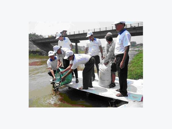 Nước Tràn Bờ, Nhiều Ao Đầm Nuôi Tôm Cá Bị Mất Trắng