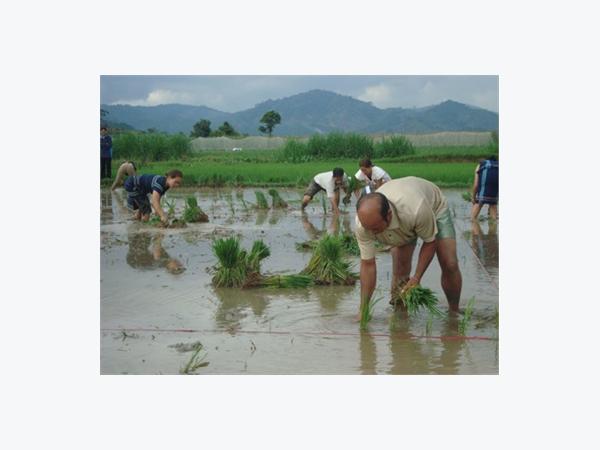 Đơn Dương Sẽ Thành Huyện Nông Thôn Mới Kiểu Mẫu