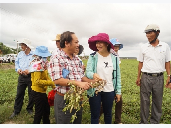 Chuyển lúa sang rau màu tạo đột phá