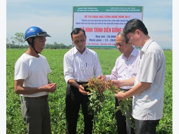 Đất chuyên màu phát huy giá trị