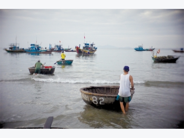 Biển cạn mùa cá nam