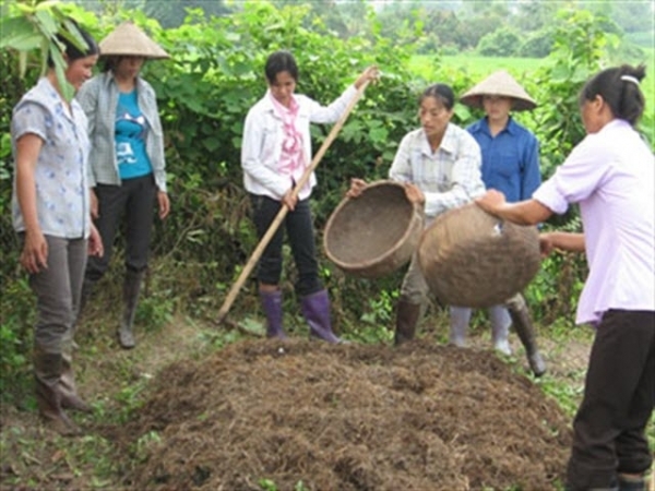 Cách ủ phân hữu cơ nhanh mục