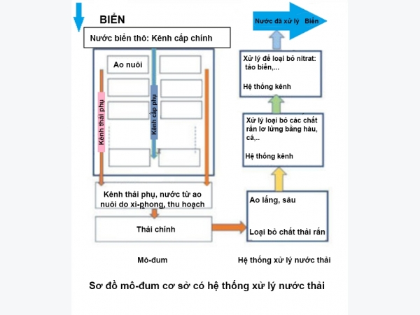 Những hệ thống nuôi tôm thâm canh ở Châu Á (Phần 1)