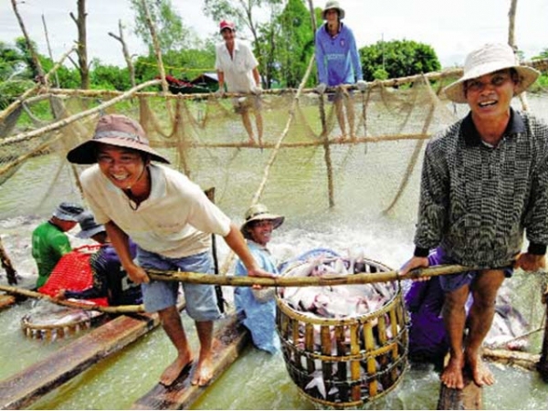 Công nghệ mới hỗ trợ nuôi cá tra