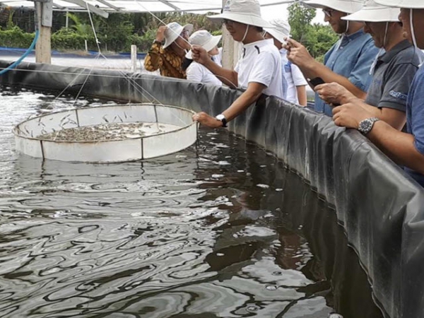 Để con tôm chiếm lĩnh thị trường