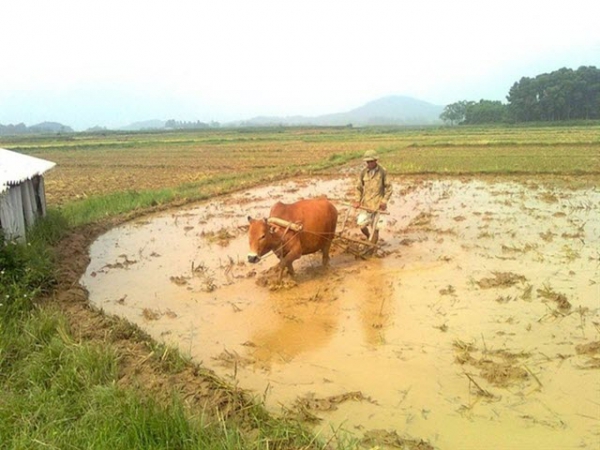 Làm đất vụ mùa