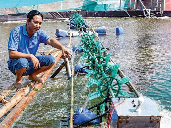 Cải tiến thiết bị, khắc phục tai nạn điện trong nuôi tôm