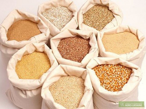 Giá ngũ cốc thế giới ngày 18/6: Giá đậu tương, lúa mì và ngô đều giảm