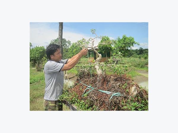 Trang Trại Ở Rú Đưng