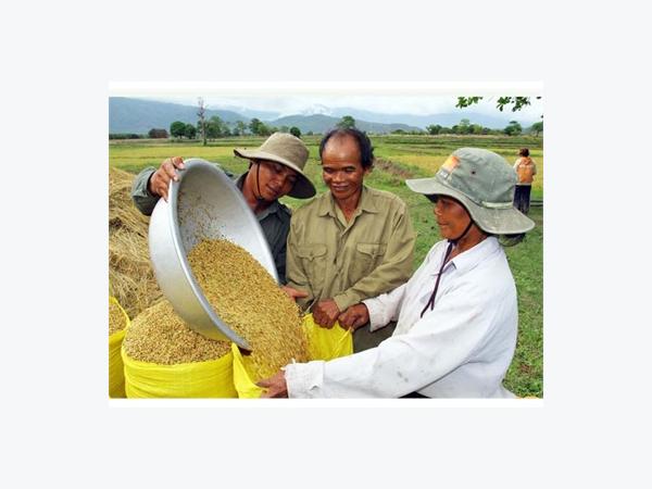 Anh Chamaleá Ngóng Vươn Lên Thoát Nghèo