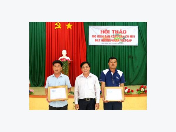 Hội thảo mô hình sản xuất cây có múi đạt chứng nhận VietGAP