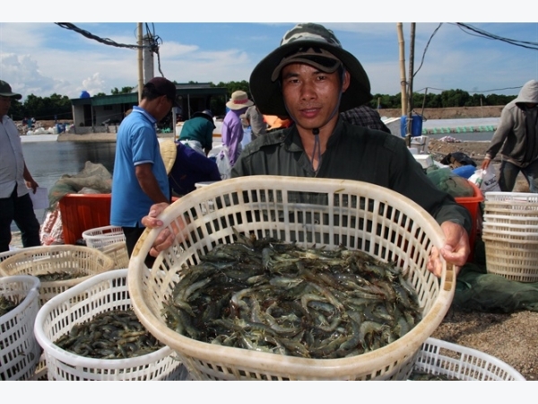 Nuôi trồng thủy sản ven biển bền vững