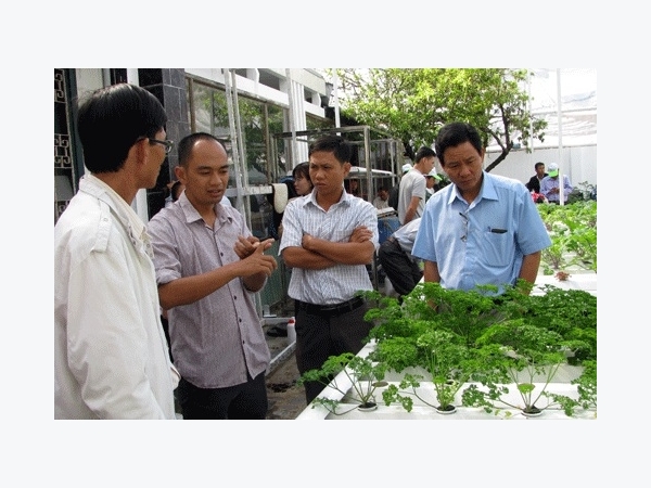 Siêu độc đáo: Làm vườn bằng công nghệ… điện toán đám mây