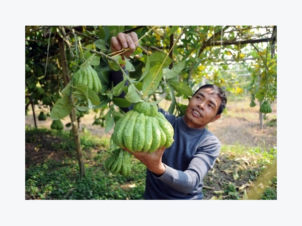 Chưa hài lòng, Hà Nội quyết nâng chất tiêu chí nông thôn mới