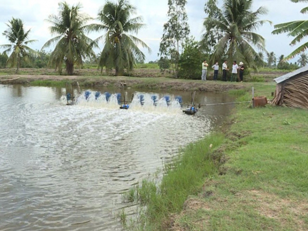 Nông dân Hồng Dân thuận thiên với mô hình con tôm ôm cây lúa